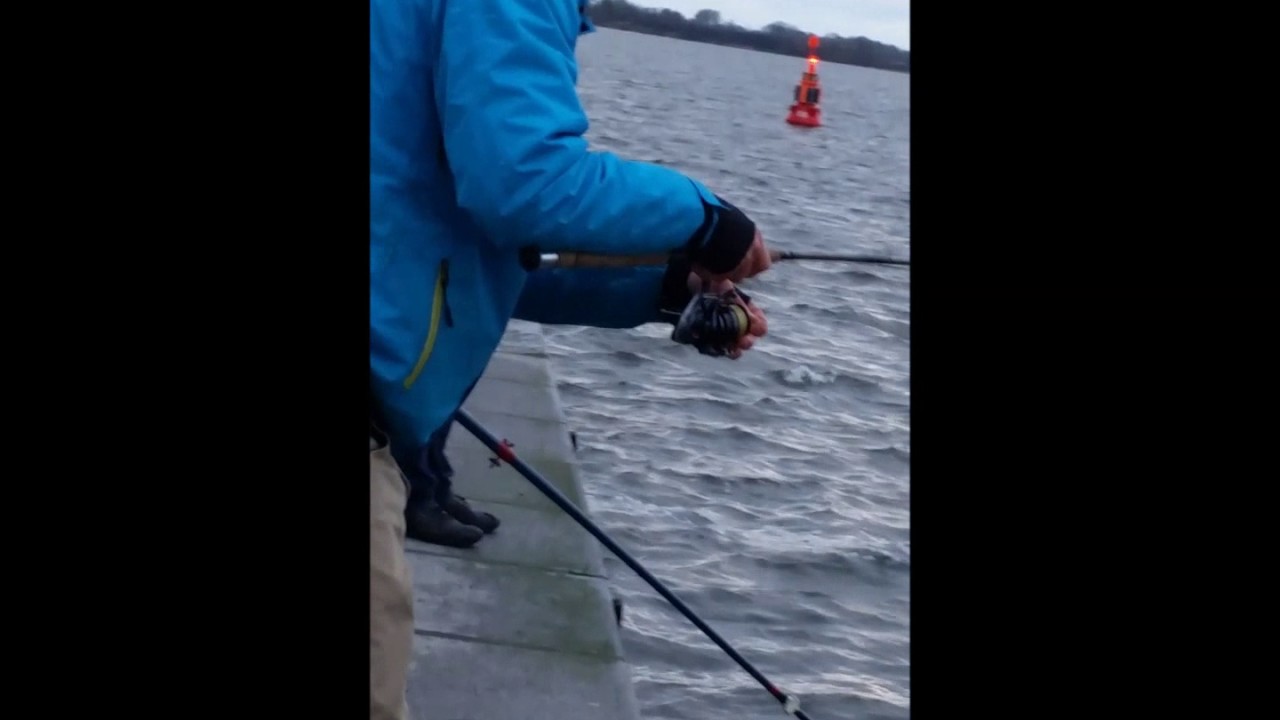 111cm Hafenmuddi   ~Strelasund~