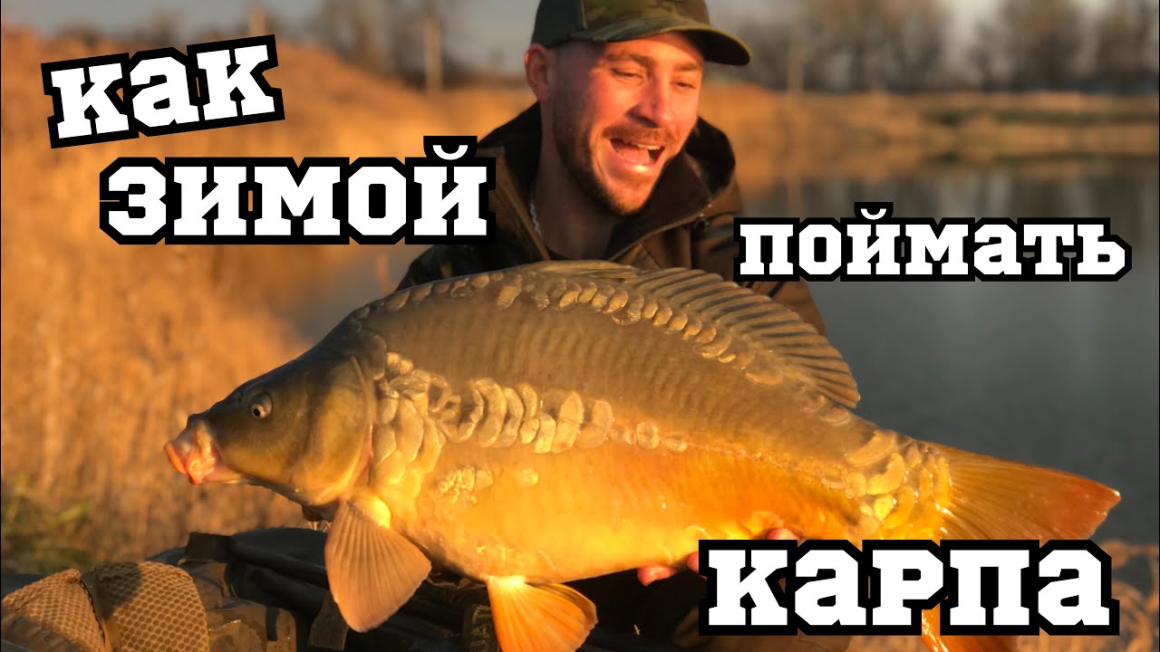 Как Зимой поймать Карпа на Флэт фидер🥶 Декабрь, а Монстры не спят.