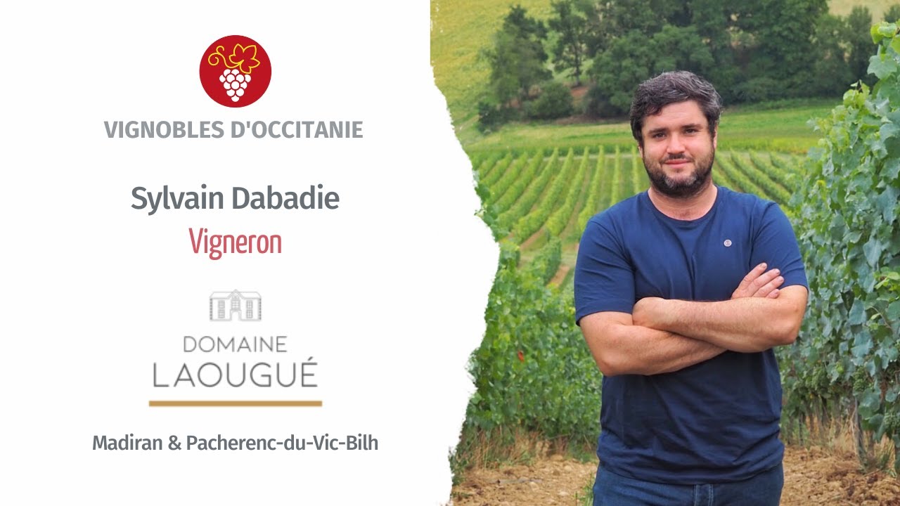 Sylvain Dabadie, vigneron au Domaine Laougu&eacute; : s&eacute;lection massale et cuv&eacute;e Arbison.