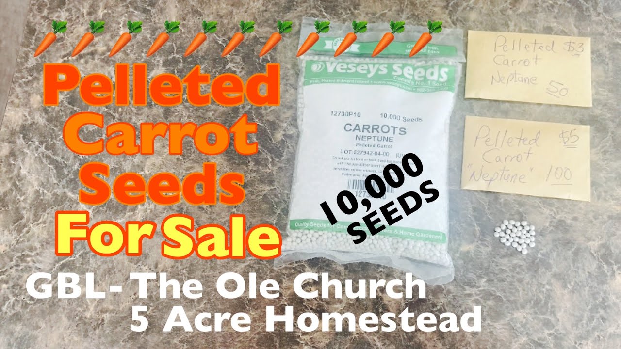 Pelleted Carrot Seeds For Sale #carrot #PelletedCarrots #seeds