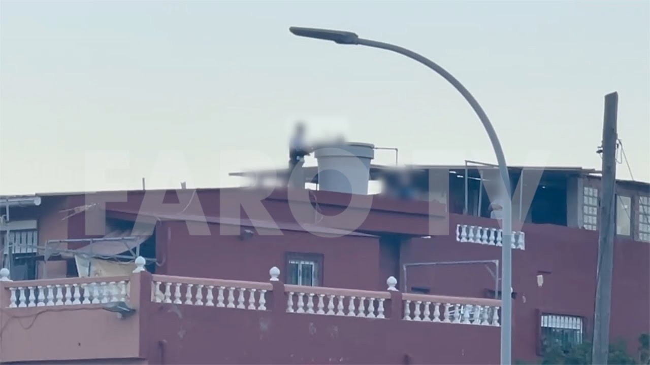 Importante operaci&oacute;n antidroga de la UDYCO