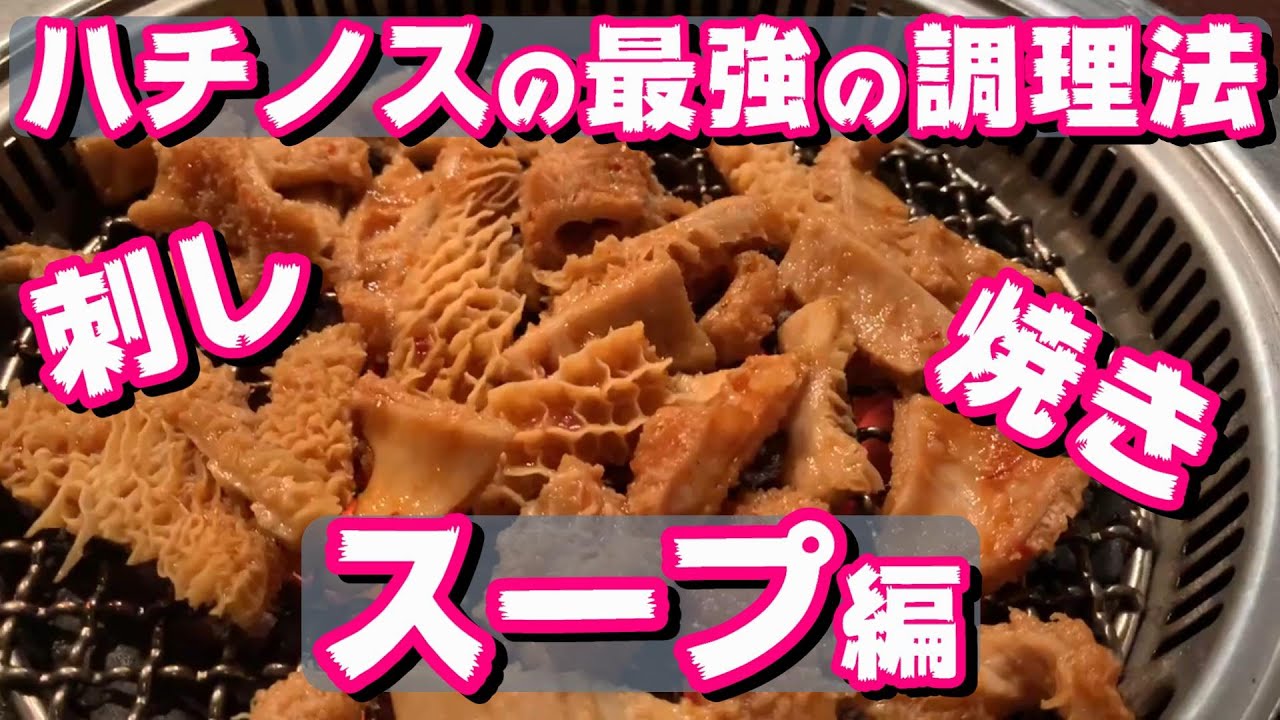 【必見‼】ハチノスの最強の調理法‼︎刺し、焼き、スープ編!!