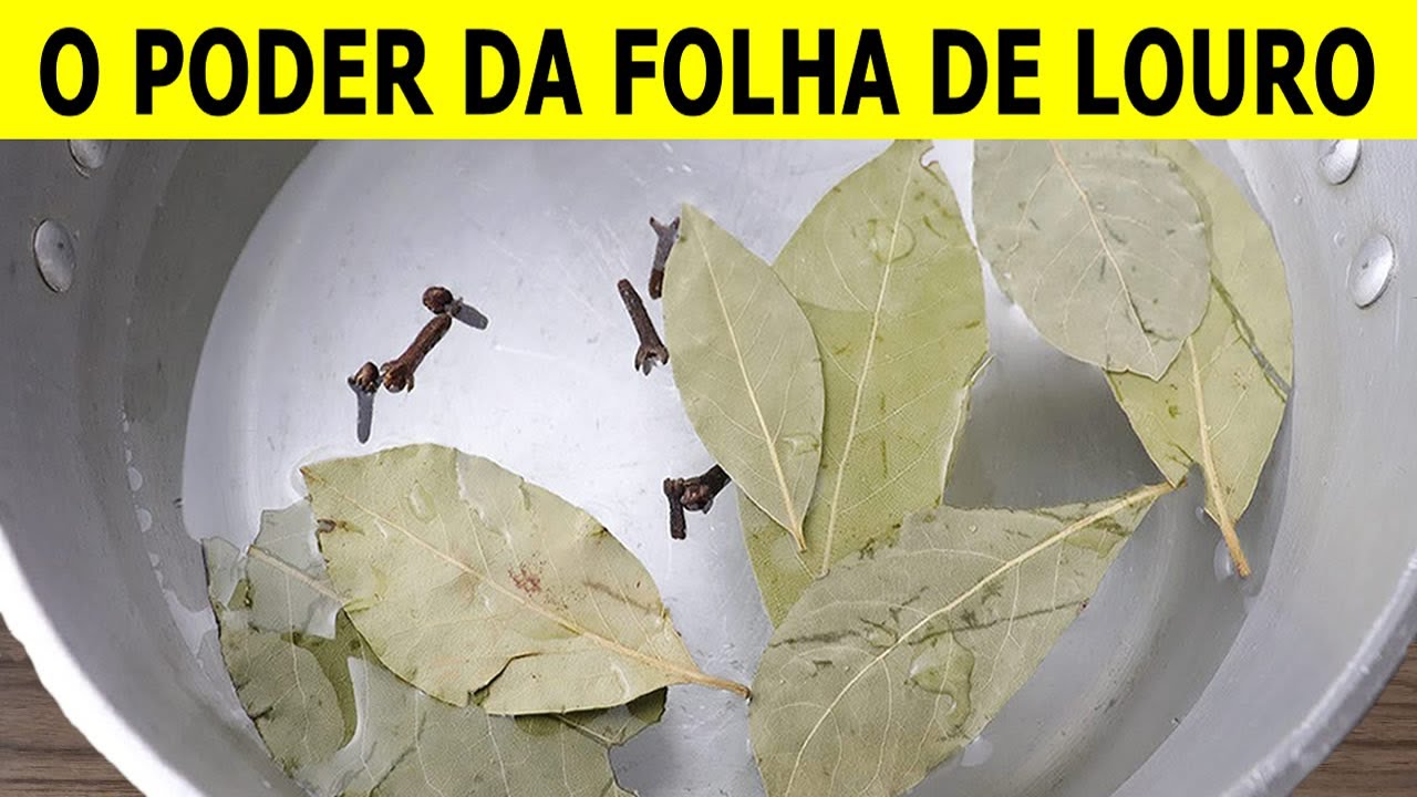 Como Fazer CH&Aacute; DE FOLHA DE LOURO - Benef&iacute;cios da FOLHA DE LOURO