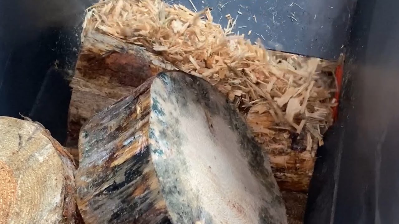 Shredding Wood with a WEIMA WL4