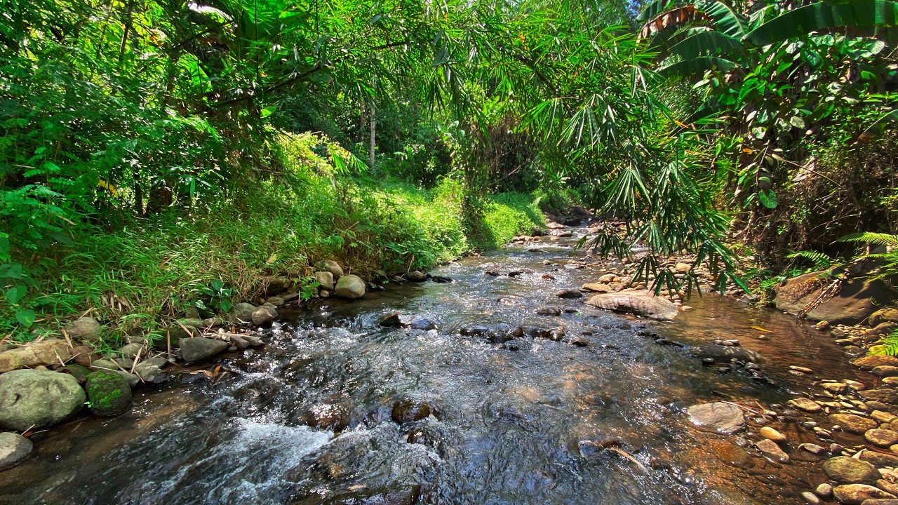 The Deepest Healing Sleep in Only Minutes with Serene River Flow and Gentle Water Stream Sounds