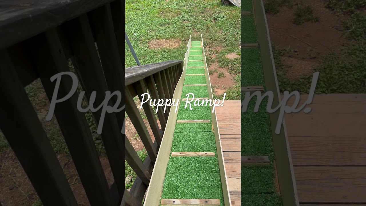 #GermanShepherd&rsquo;s #GermanShepherdPuppies #GermanShepherdLife #PuppyHouseBreaking #PuppyRamp