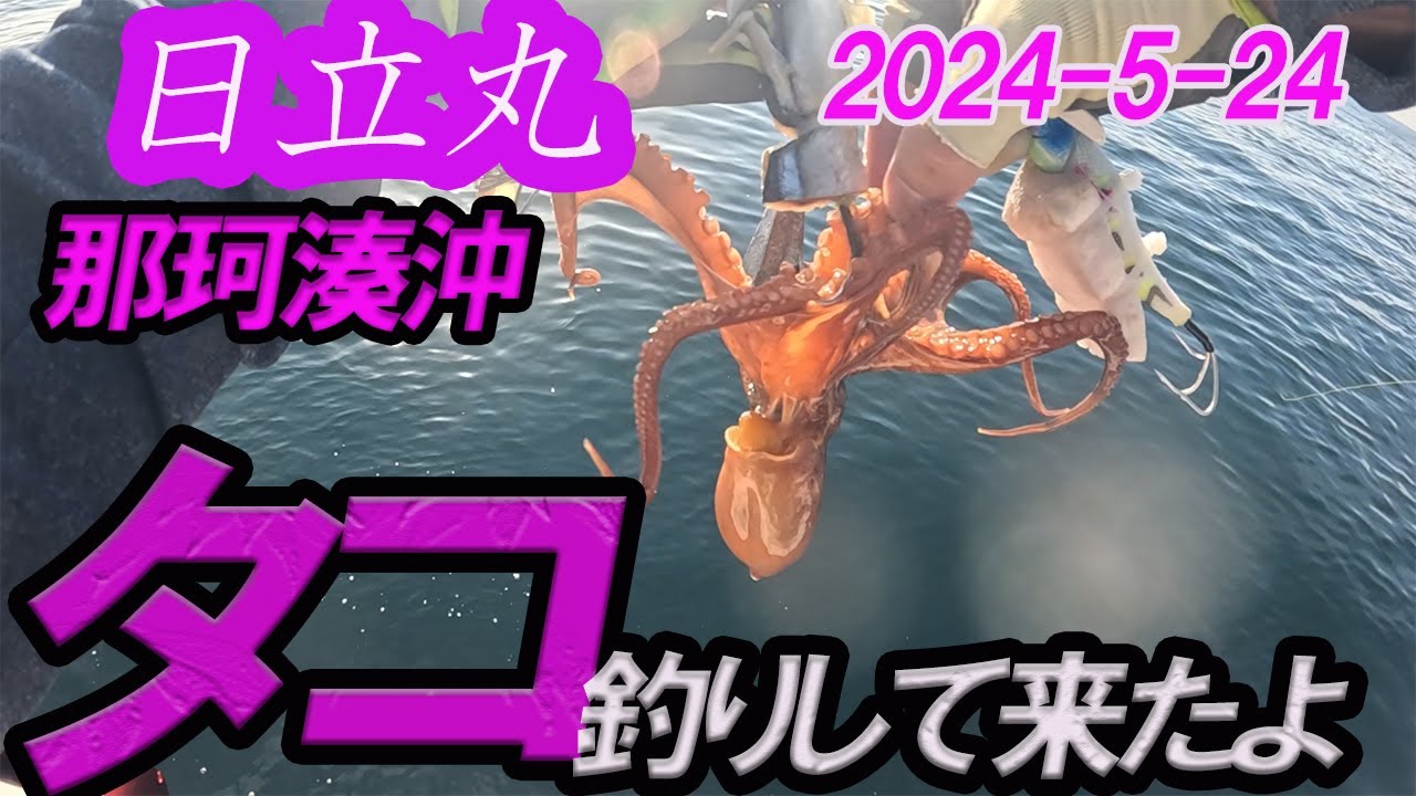【エギタコ釣り】那珂湊沖 日立丸からタコ釣り 2024 -5-24