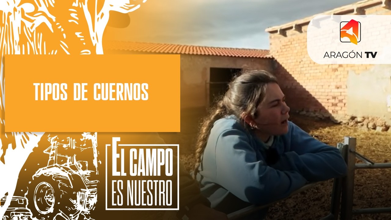 Tipos de cuernos
