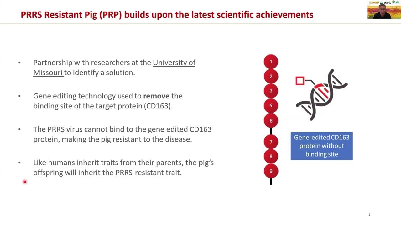 Regulatory Approvals in China: Case of PRRSV Resistant Pigs