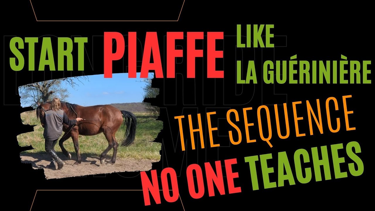 La Guérinière’s Way: Starting Piaffe in Hand (Classical Dressage Made Simple)