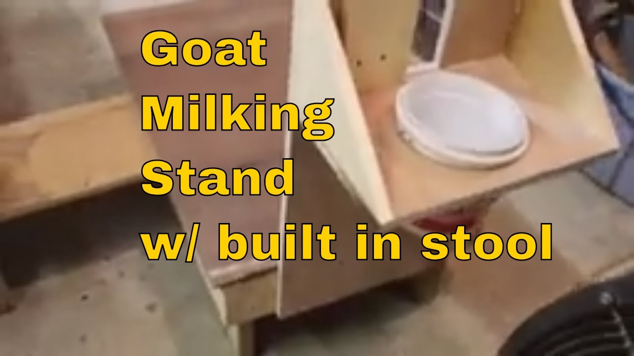 Goat Milking Stand w/ Built-in Stool ~~ DIY Project