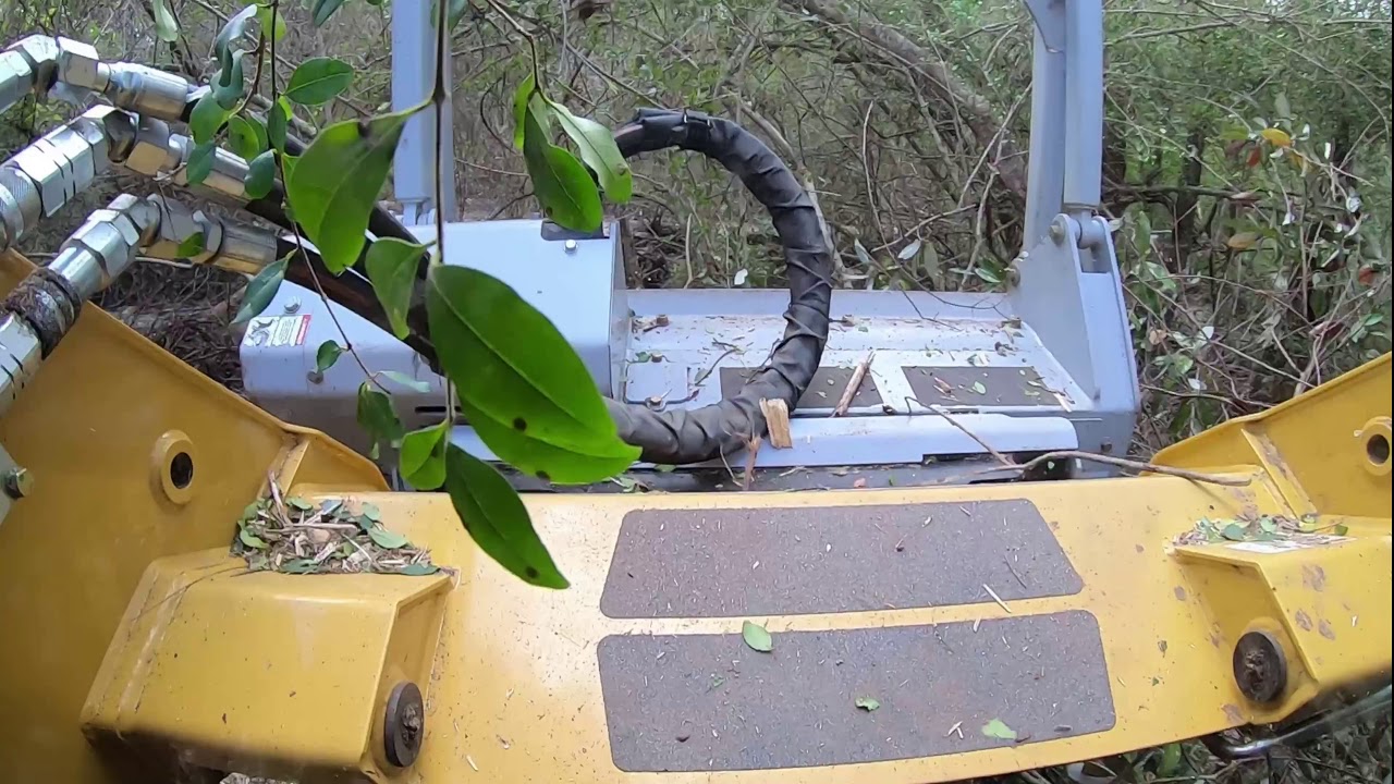 Forestry mulching back yard with ASV rt75hd and Denis cimaf 150d