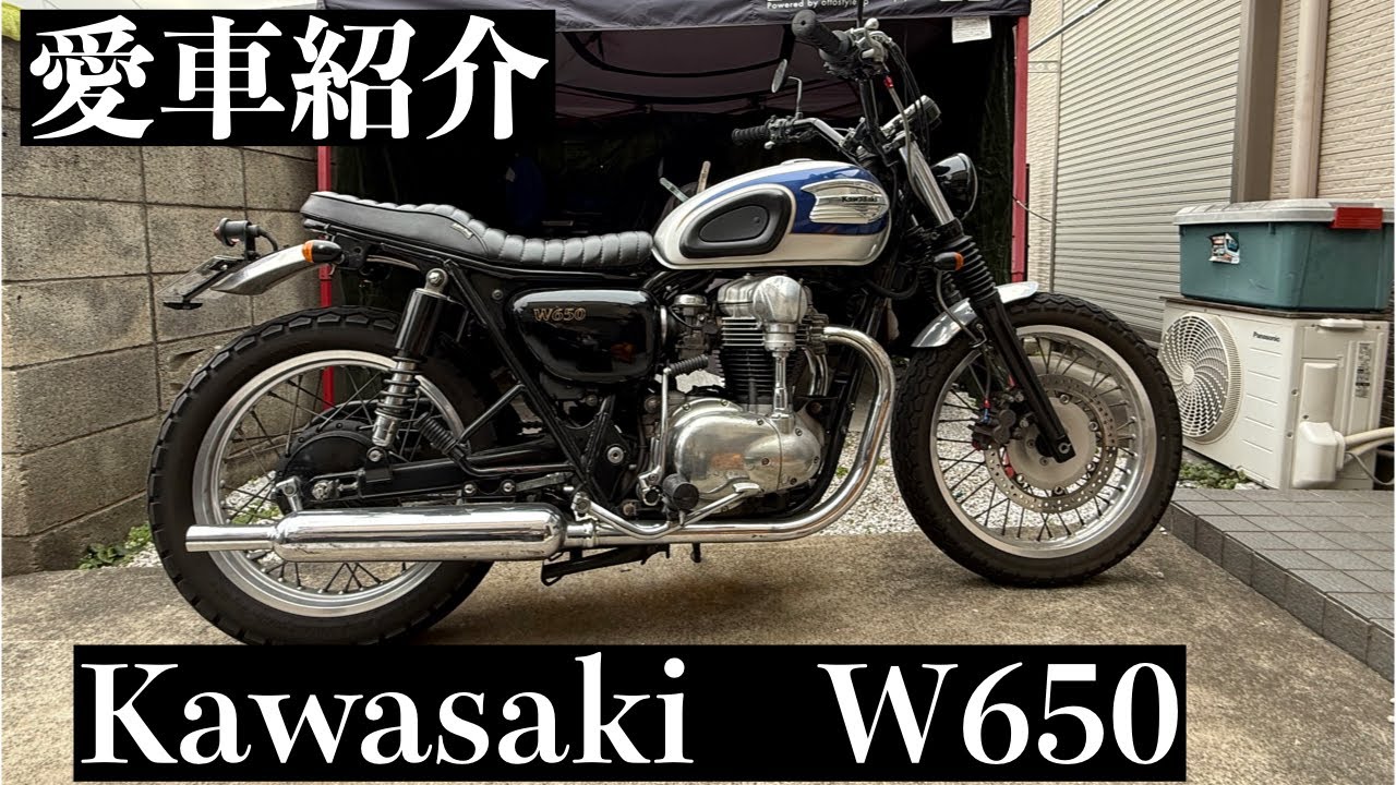 【愛車紹介】買ったばっかのW650をただただ紹介