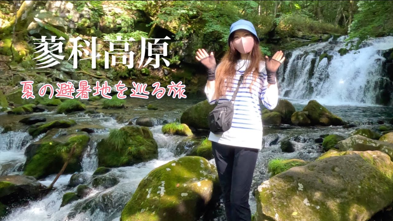 【4K映像】夏の蓼科　人気の観光スポット4選【御泉水自然園〜女神のテラス〜北八ヶ岳ロープウェイ〜坪庭自然園〜蓼科湖〜蓼科大滝】