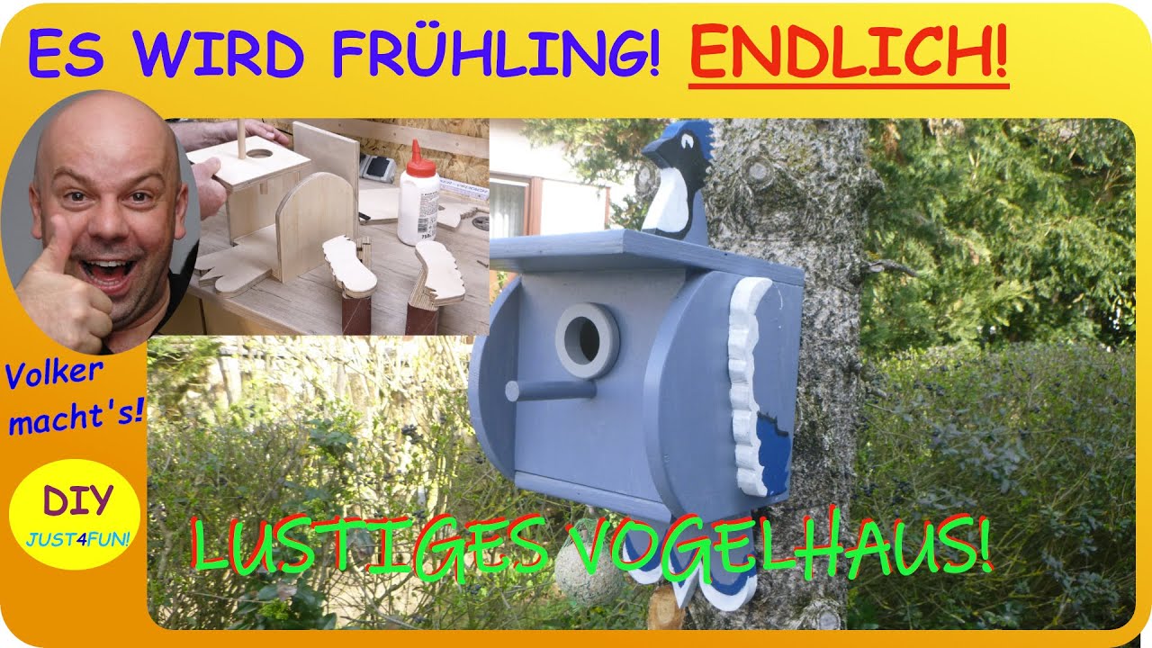 😉BLUE JAY BIRD HOUSE 👨‍🔧 - DIY VOGELHAUS MIT 