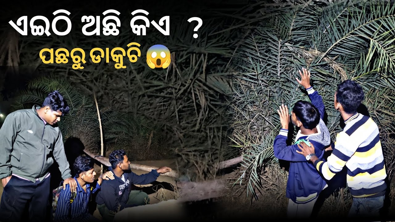 ଏଇଠି ଅଛି କିଏ ?ପଛରୁ ଡାକୁଚି 😱💀