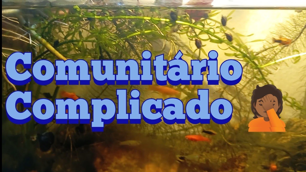 Hora de separar
