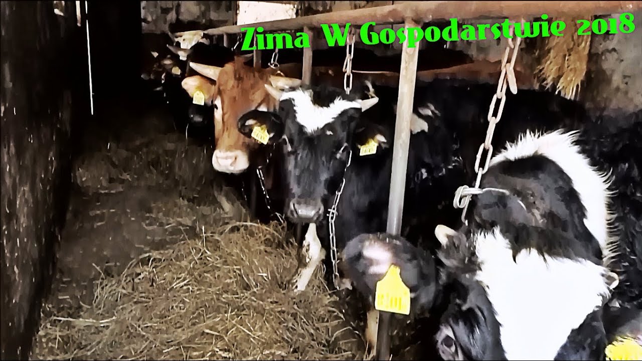 ☆ Zima W Gospodarstwie 2018 ☆ Na Wesoło ✔