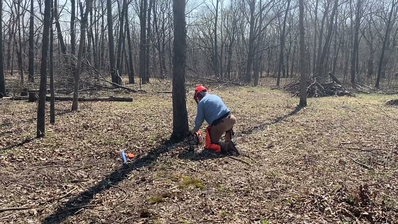 Low impact logging 2/7