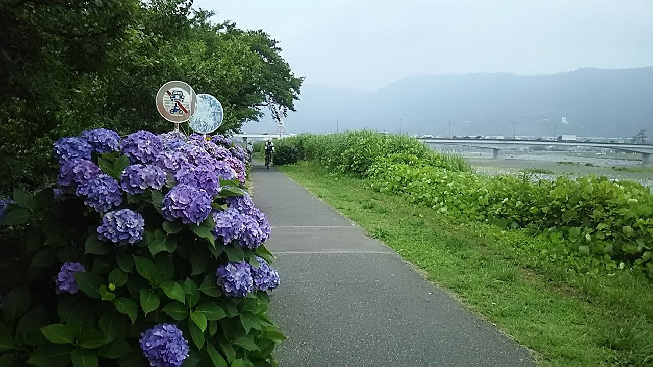 伊豆箱根鉄道｢大雄山線ウォーキング｣　和田河原コース(1/2)　2020/06/27