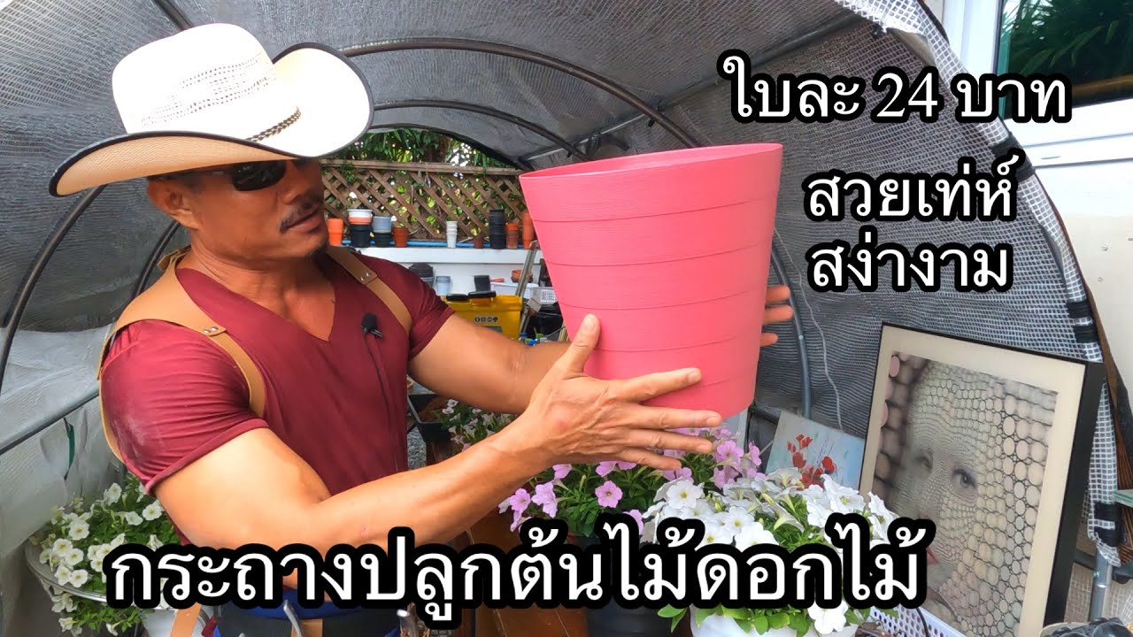 ปลูกต้นไม้ดอกไม้ ในกระถางสวยๆ