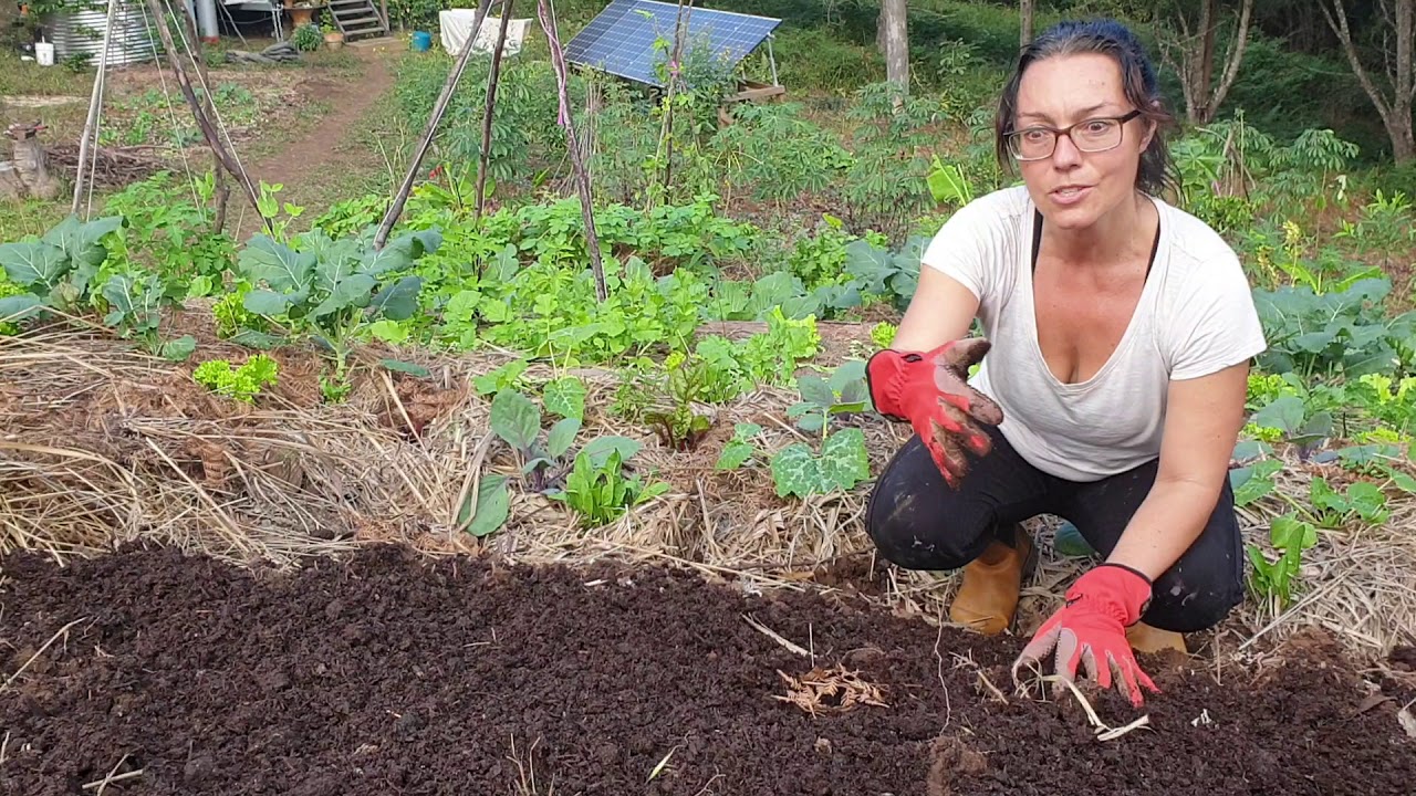 Mushroom Compost - King of Soil Builders
