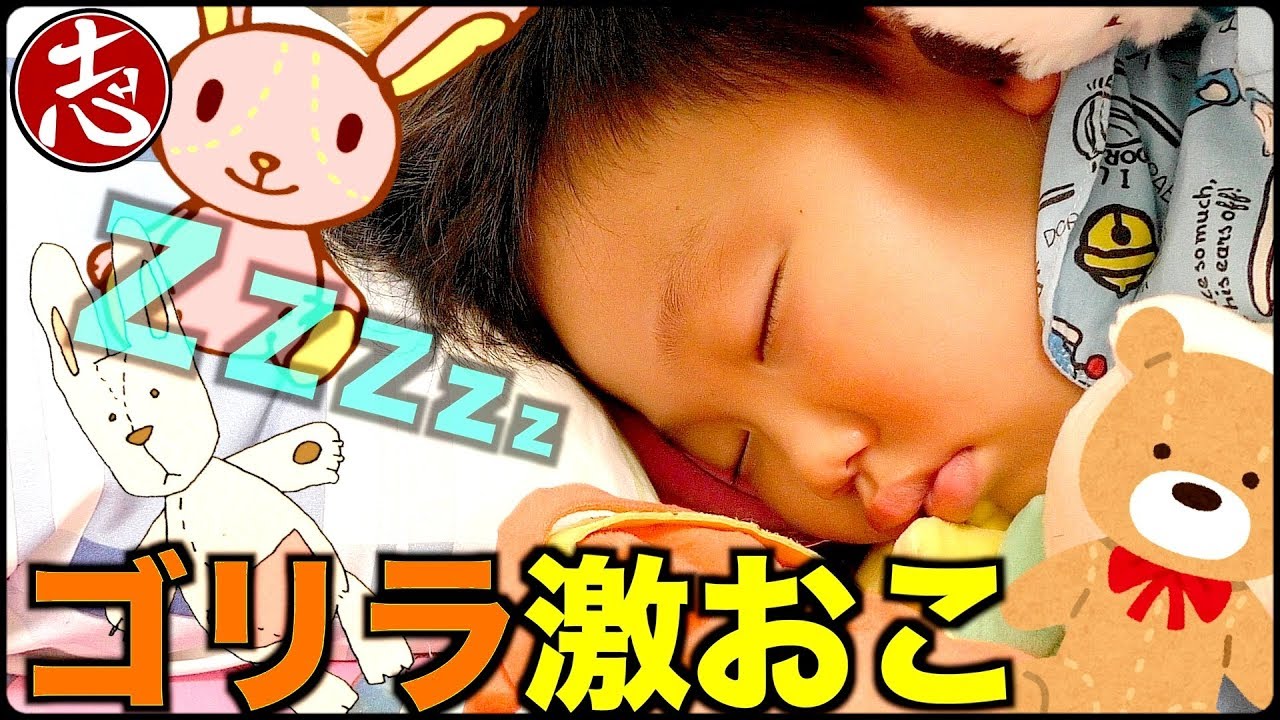 【検証】寝ている顔面に大量のぬいぐるみ落としたら機嫌よく起きるんじゃないの？【寝起きドッキリ】ココロマンちゃんねる