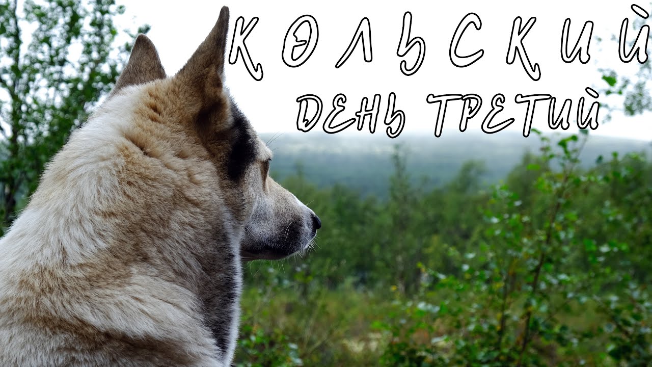 КОЛЬСКИЙ 2022, ДЕНЬ ТРЕТИЙ, ПОЕЗДКА В НОВЫЙ ЛАГЕРЬ