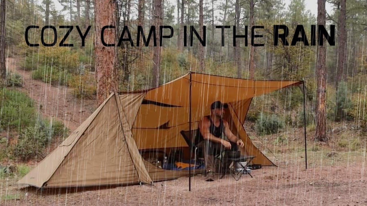 Solo Camping in Rain With My Dog . Wood Stove ASMR