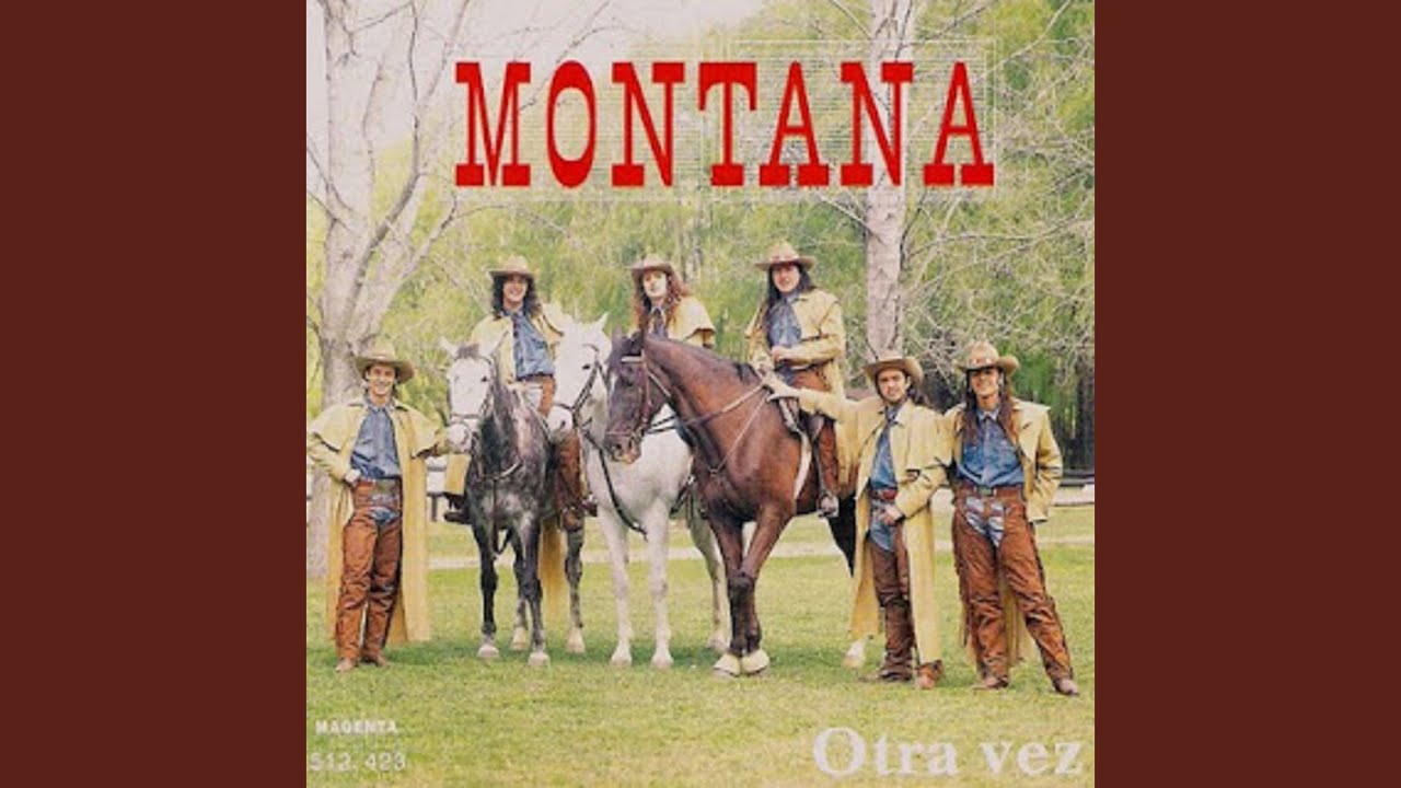 Llegaste Tu