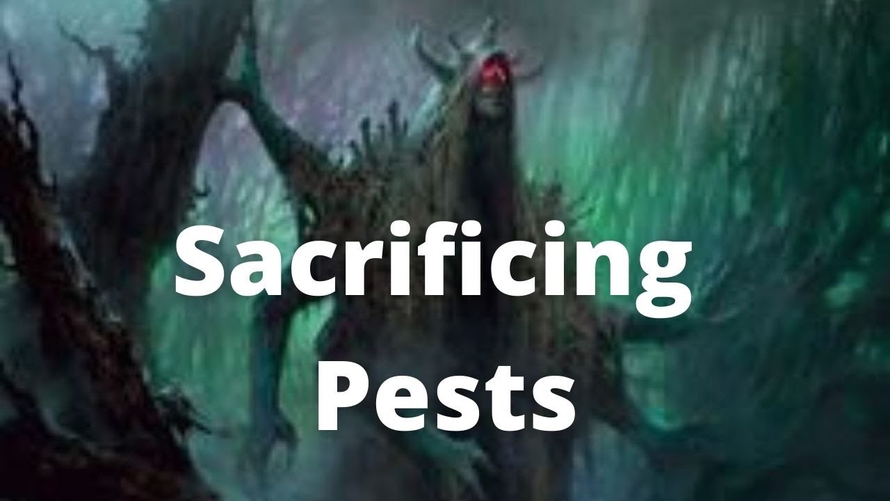 Witherbloom Again- Mtg Arena Standard Deck Guide
