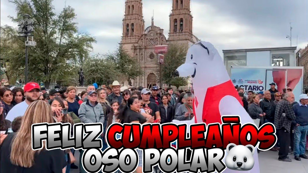 Me roba! Me roba el Oso Polar 🐻‍❄️🎵😉