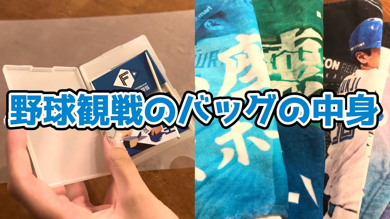野球観戦時の便利アイテムと応援グッズ紹介 【What's in my bag?】