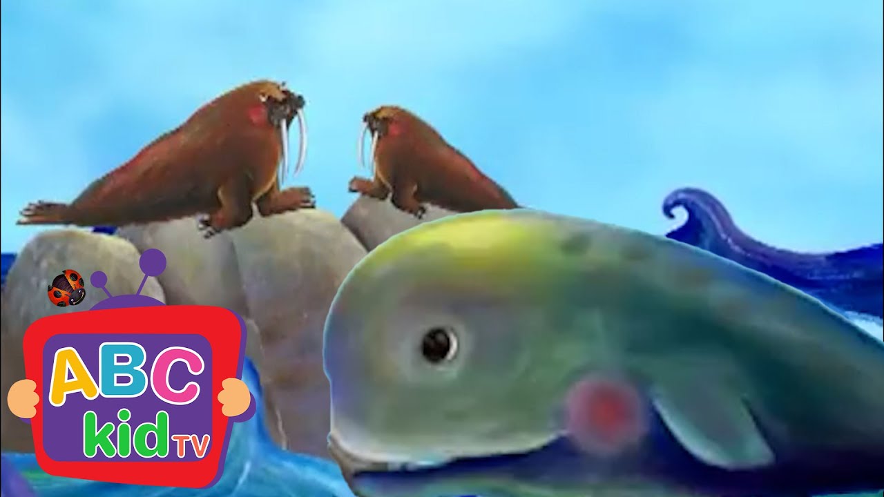 Seals at Sea: W is for 
