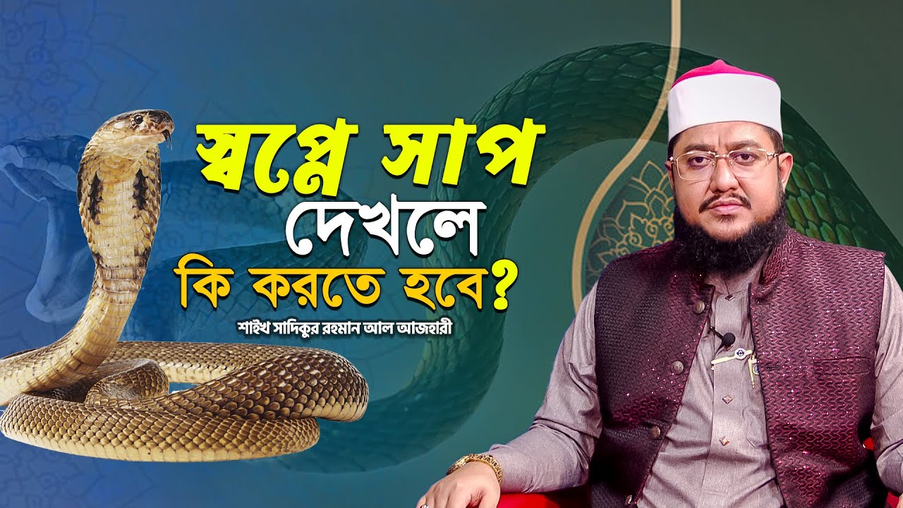 স্বপ্নে সাপ দেখলে কি করতে হবে? | শাইখ সাদিকুর রহমান আল আজহারী | ইসলামি প্রশ্ন | Panvision Islamic