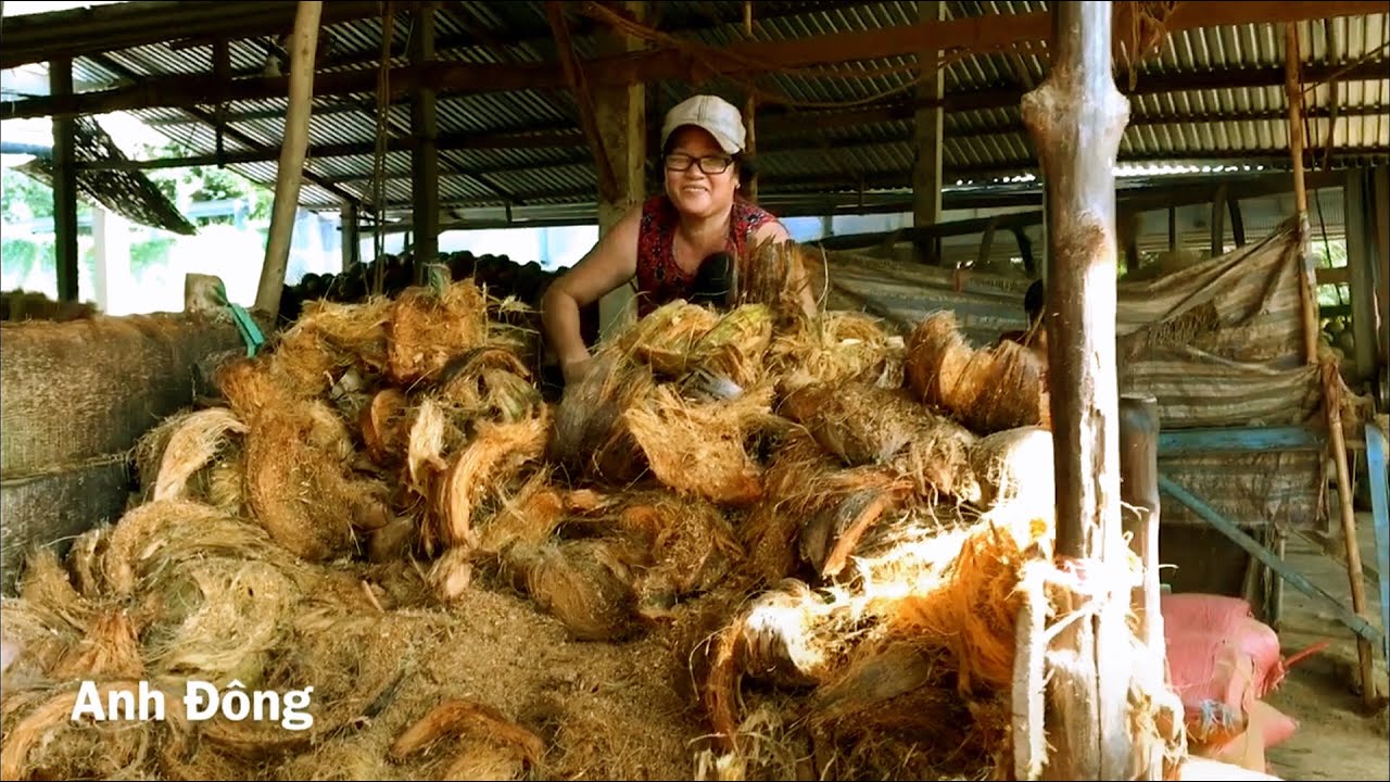 Cám dừa trồng cây được làm như thế nào