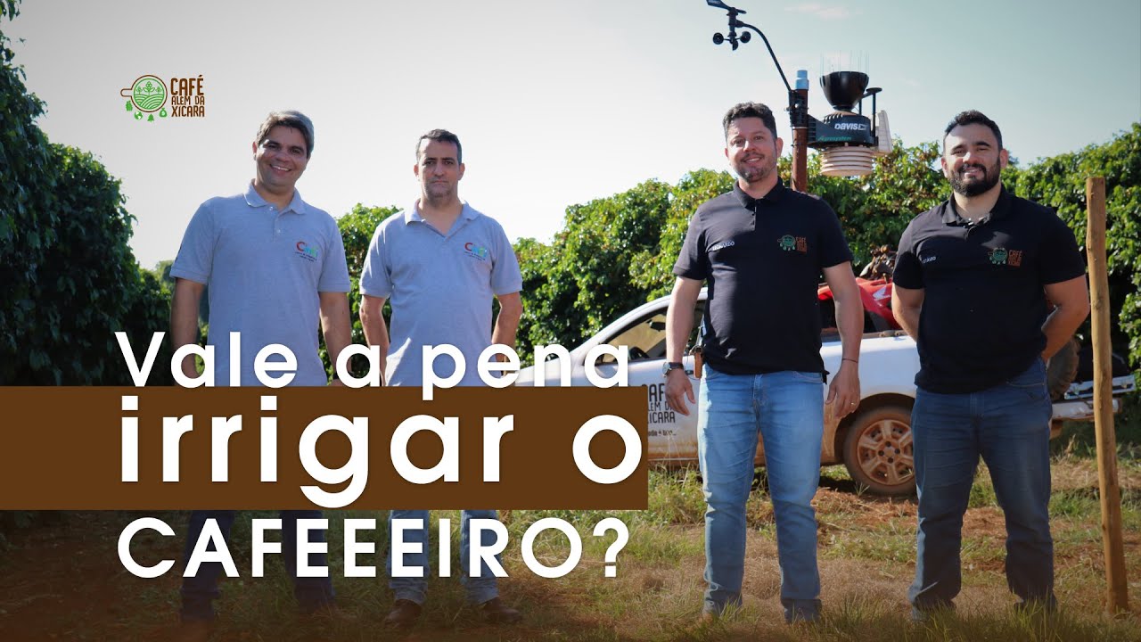 Vale a pena irrigar o CAFEEIRO? | Café Além da Xícara