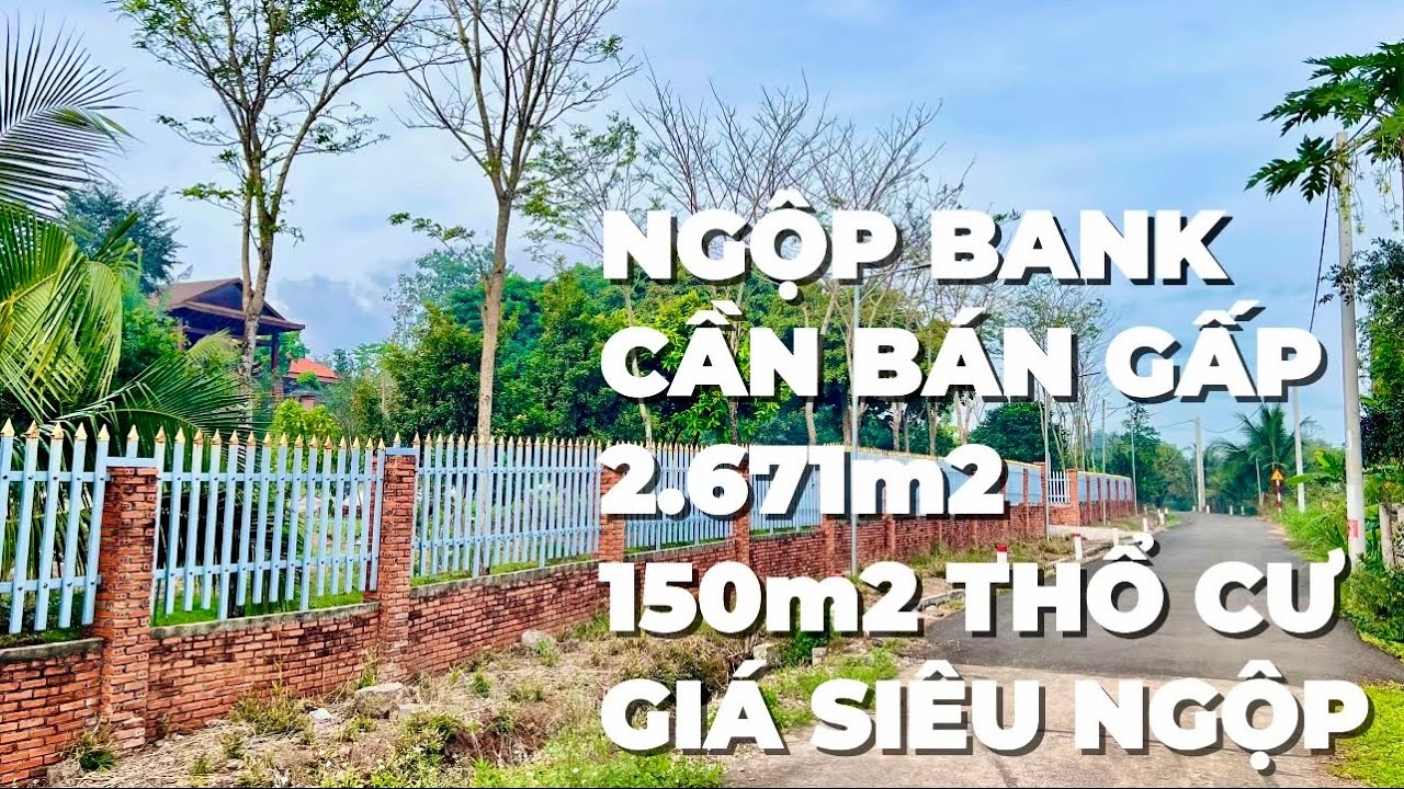 Ngộp ngân hàng cần bán gấp bán rẻ đất vườn có thổ cư ở bà rịa vũng tàu để trả nợ