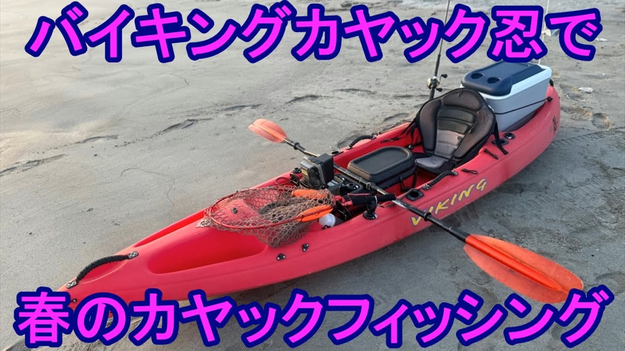 バイキングカヤック忍で春のカヤックフィッシング
