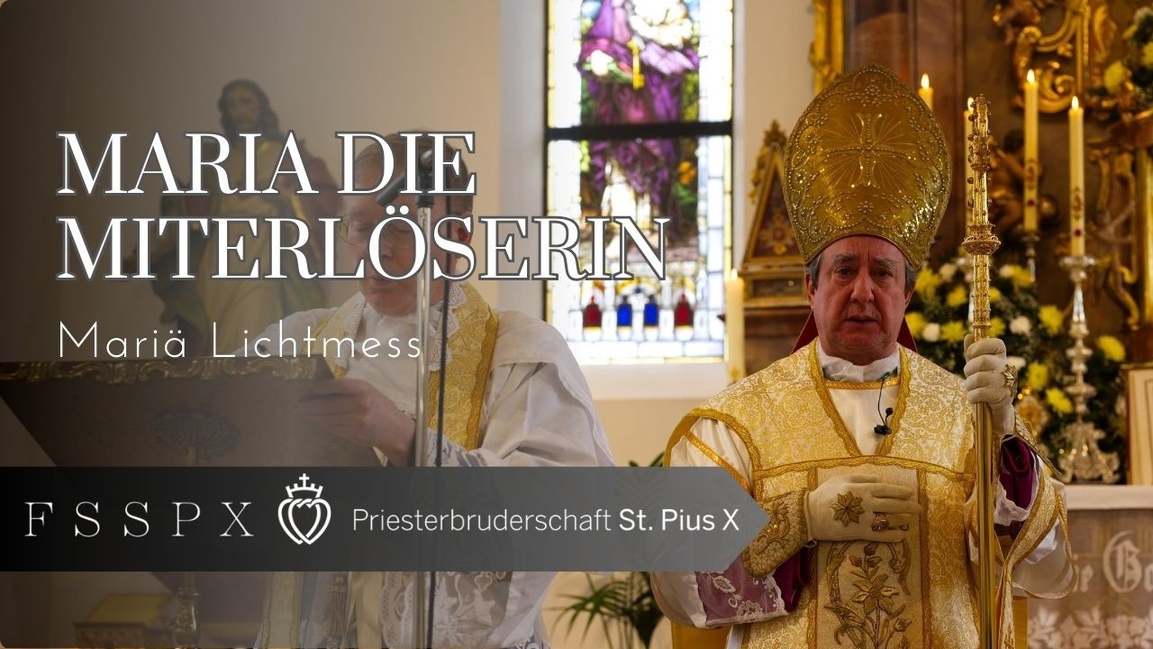Maria die Miterlöserin: Das Ideal des Priesters