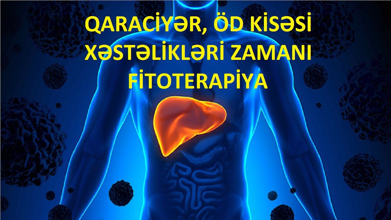 Qaraciyər, Öd Kisəsi Xəstəlikləri Zamanı Fitoterapiya - Dr. Elnur Eldaroğlu