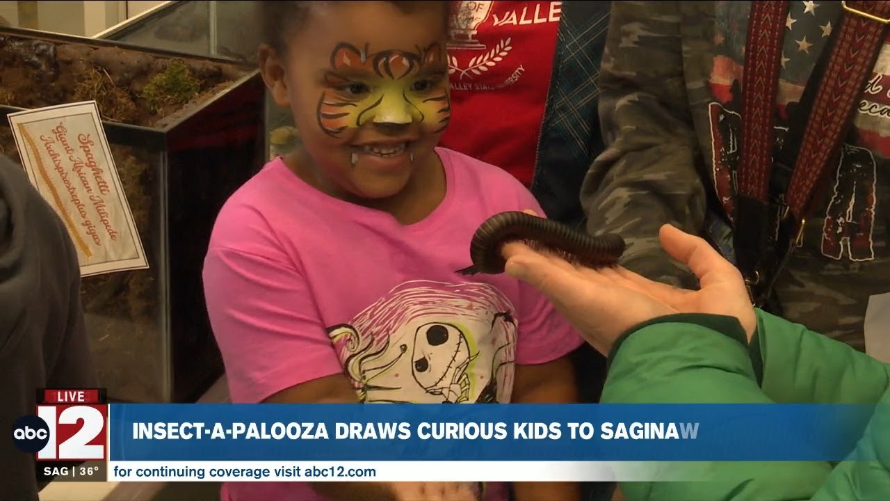 Insect-A-Palooza draws curious kids to Saginaw event