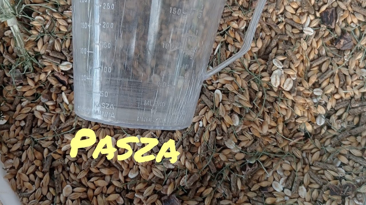 Jak tworzę paszę dla królików
