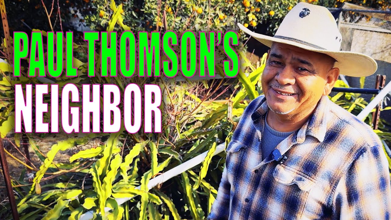 I Interviewed The Neighbor of One of the GODFATHERS of DRAGON FRUIT / Paul Thomson’s Friend EDDIE