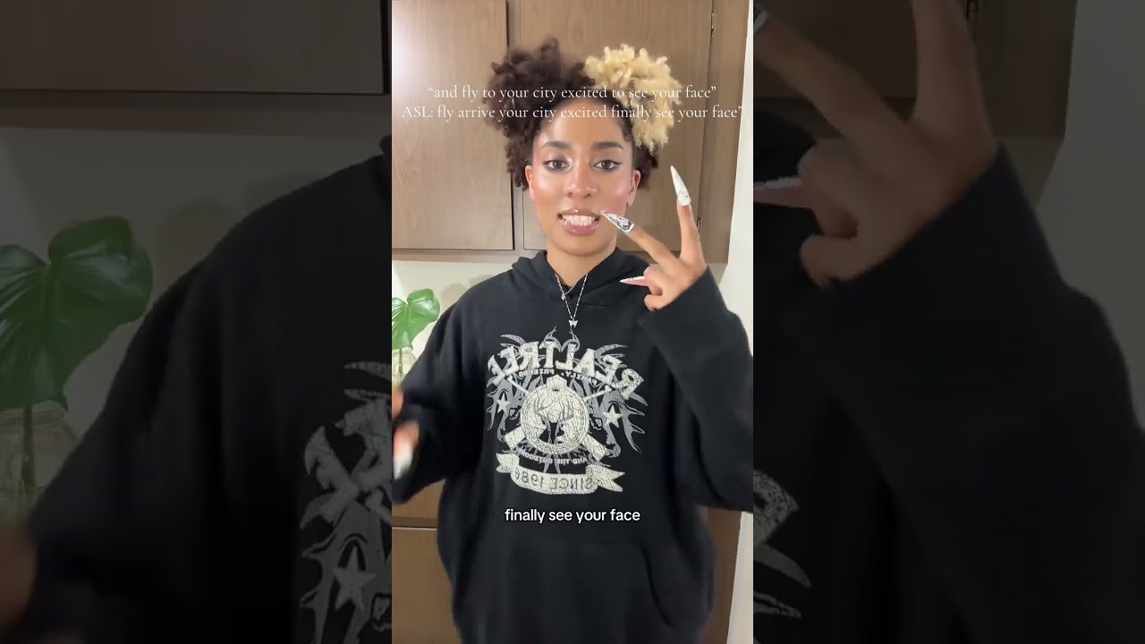 No One Noticed ASL TUTORIAL by Lena