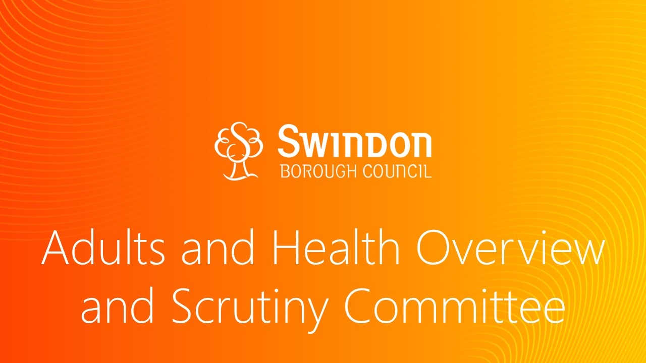 Adults and Health Overview and Scrutiny Committee - 17 February 2026
