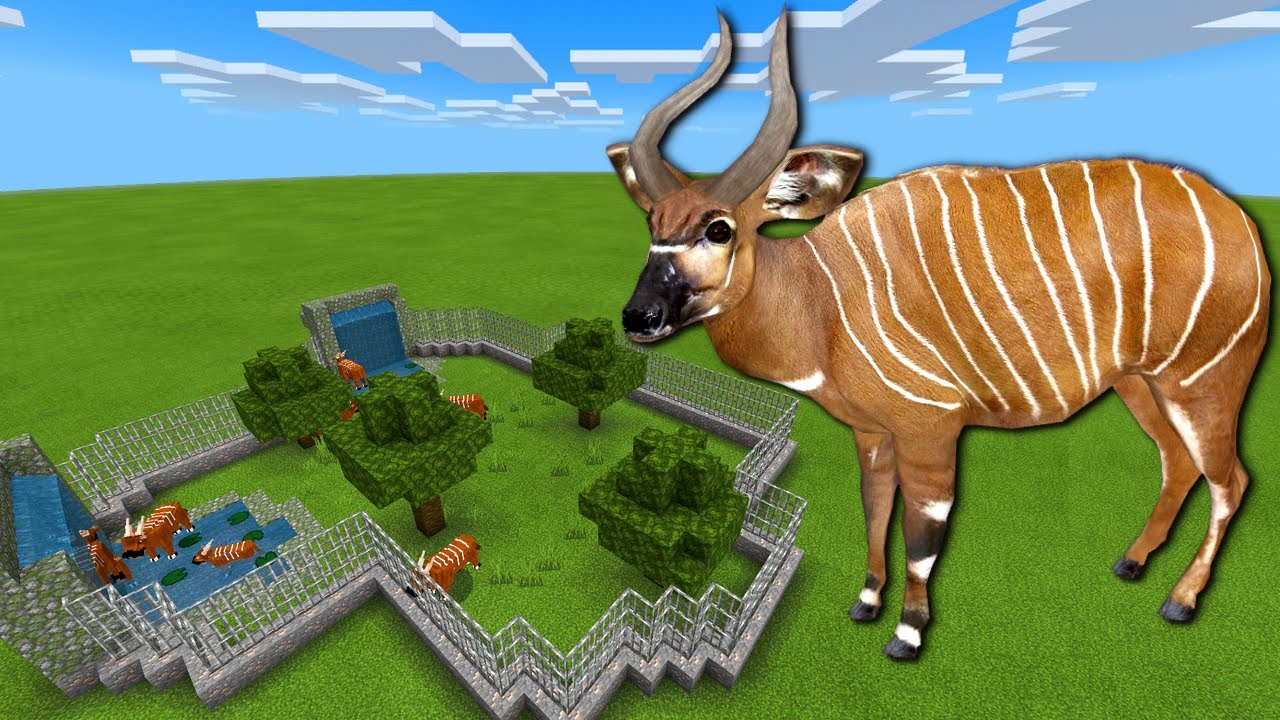 MCPE: How To Make a Bongo Farm