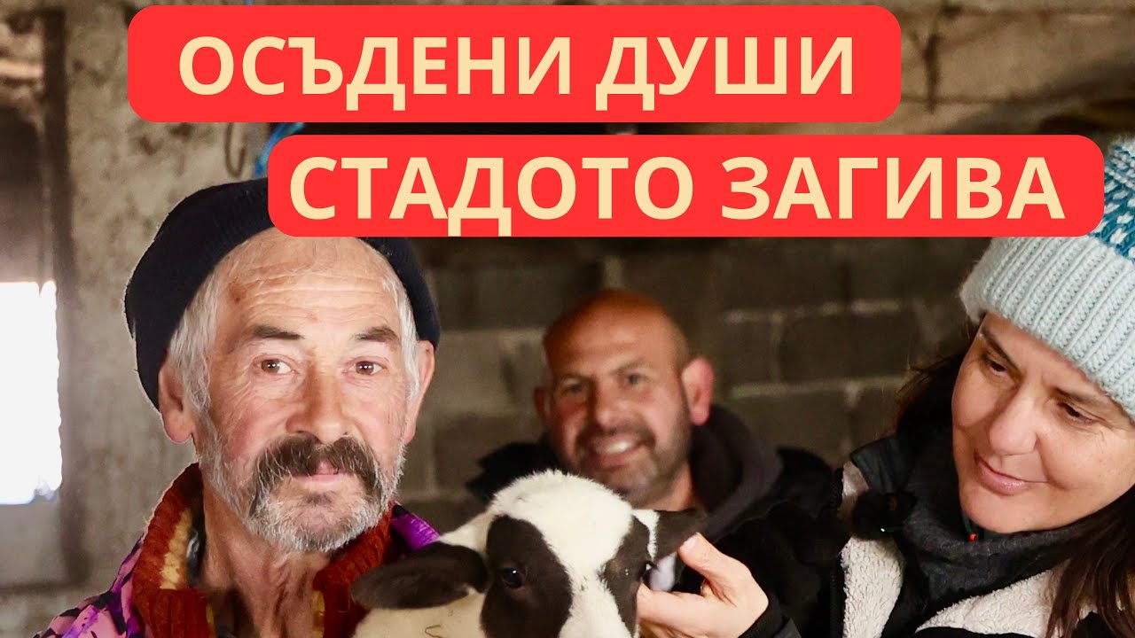 СЛЕД ЕДНА ГОДИНА ХОДЕНЕ ПО—МЪКИТЕ, КАКВО СЕ СЛУЧВА 