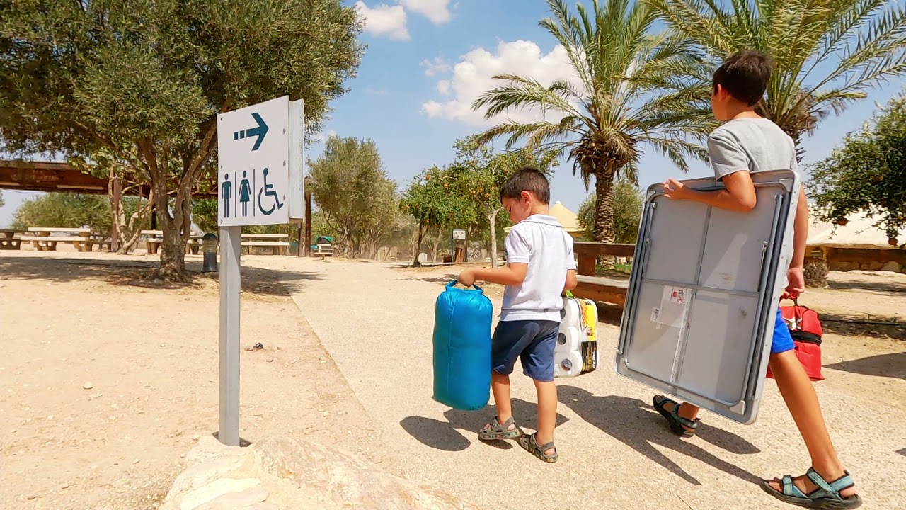 תל ערד
