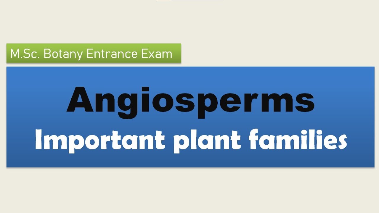 How to read efficiently Angiosperm plant families